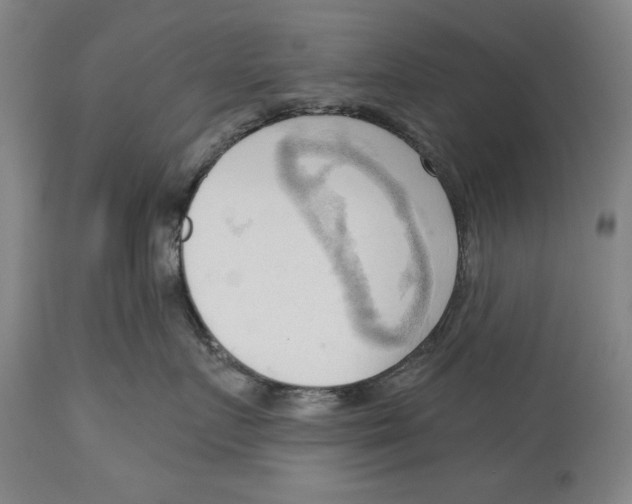 X0000113130719200910021416