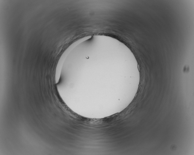 X0000113130720200910021416