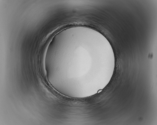 X0000113130722200910021415