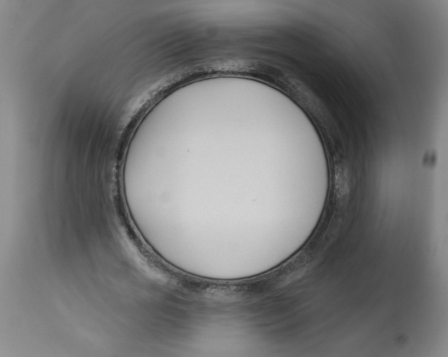 X0000113130725200910021415