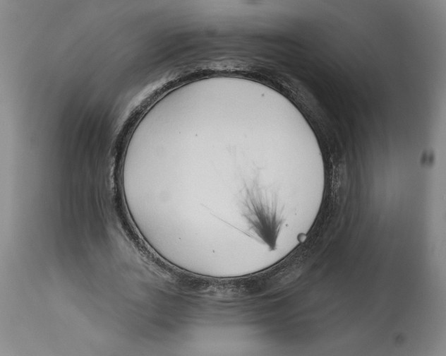 X0000113130727200910021415
