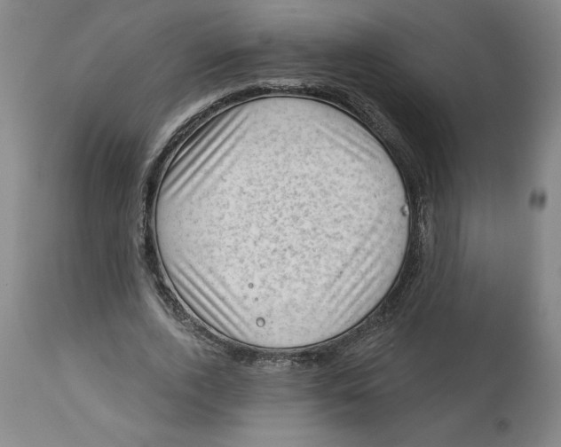 X0000113130728200910021415