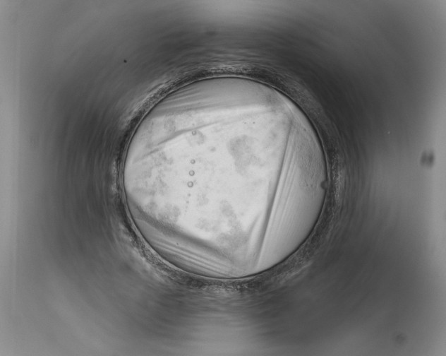 X0000113130729200910021415