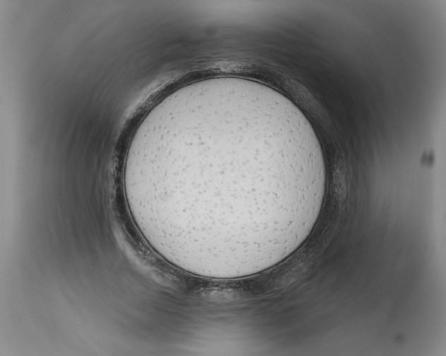 X0000113130730200910021415