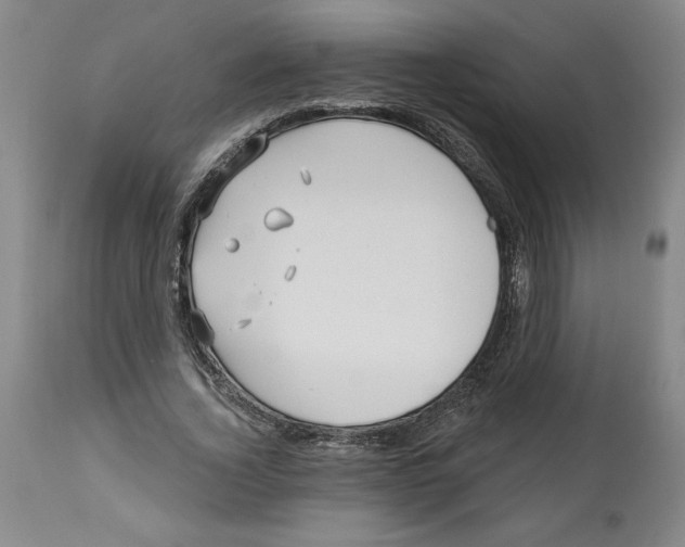 X0000113130732200910021415