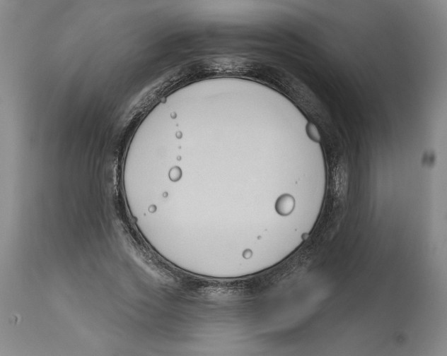 X0000113130733200910021415