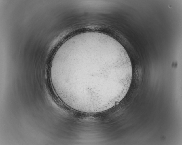 X0000113130734200910021415