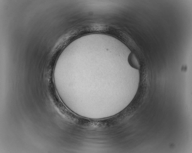 X0000113130736200910021415