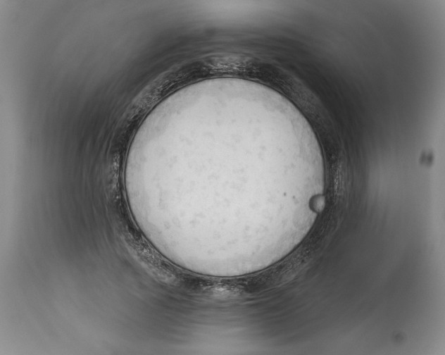 X0000113130737200910021415