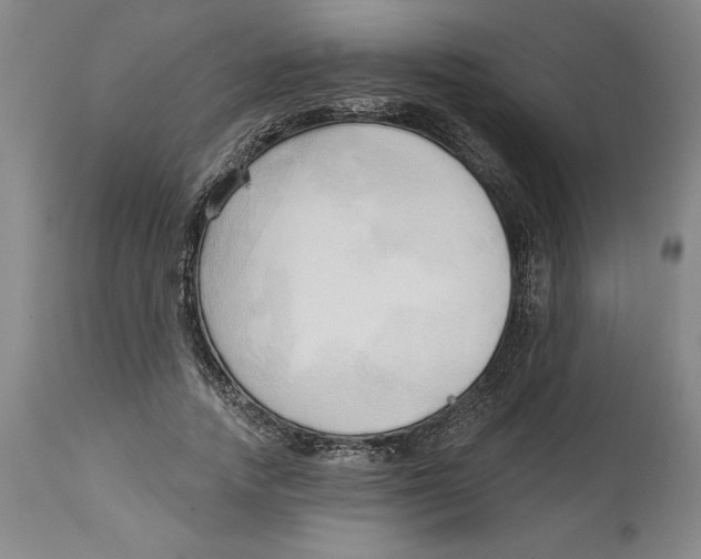 X0000113130738200910021415