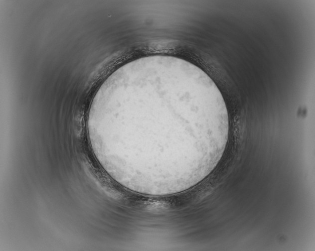 X0000113130741200910021415