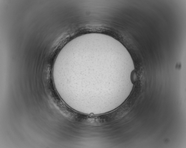 X0000113130744200910021415