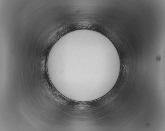 X0000113130745200910021415