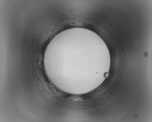 X0000113130747200910021415