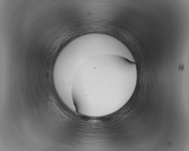 X0000113130748200910021415