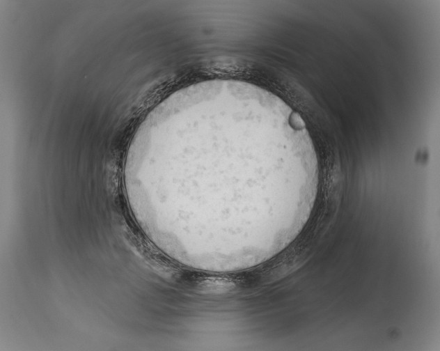 X0000113130749200910021415