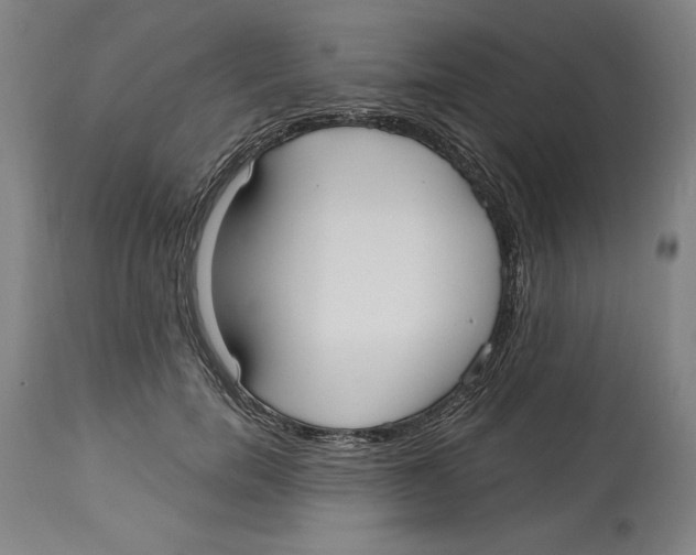 X0000113130750200910021415