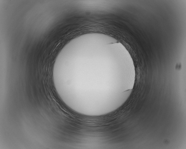 X0000113130752200910021415