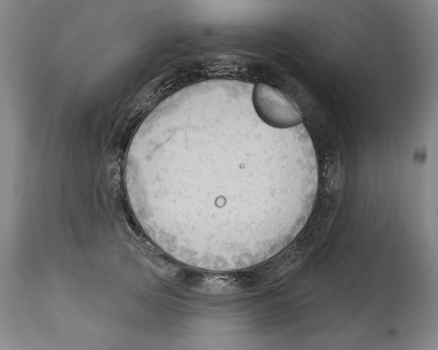 X0000113130753200910021415