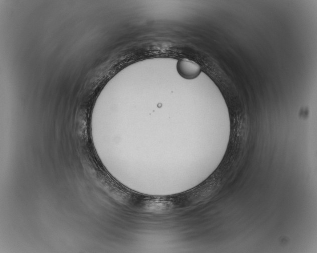 X0000113130754200910021415