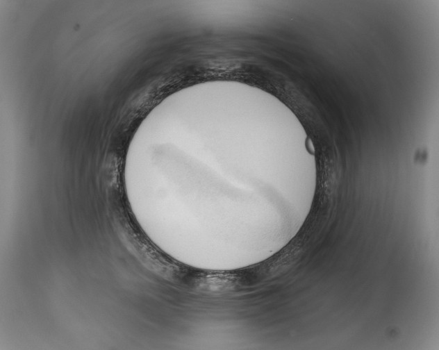 X0000113130758200910021416