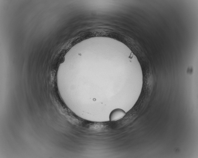 X0000113130759200910021416