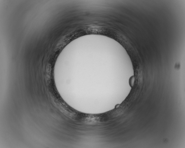 X0000113130760200910021416