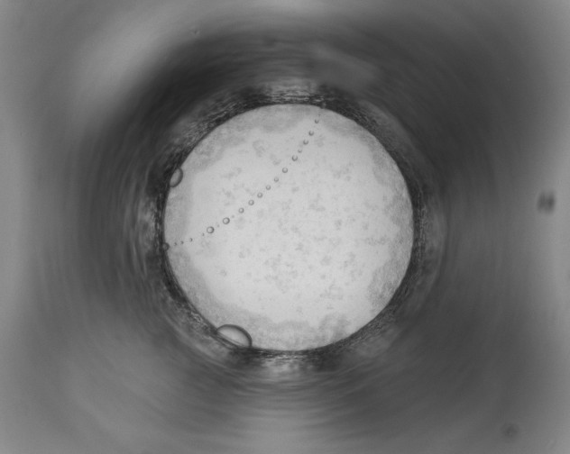 X0000113130761200910021416