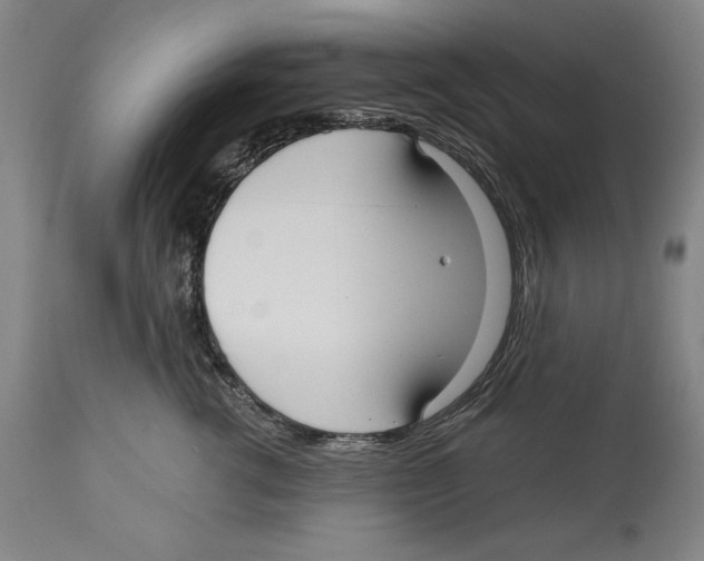 X0000113130762200910021416