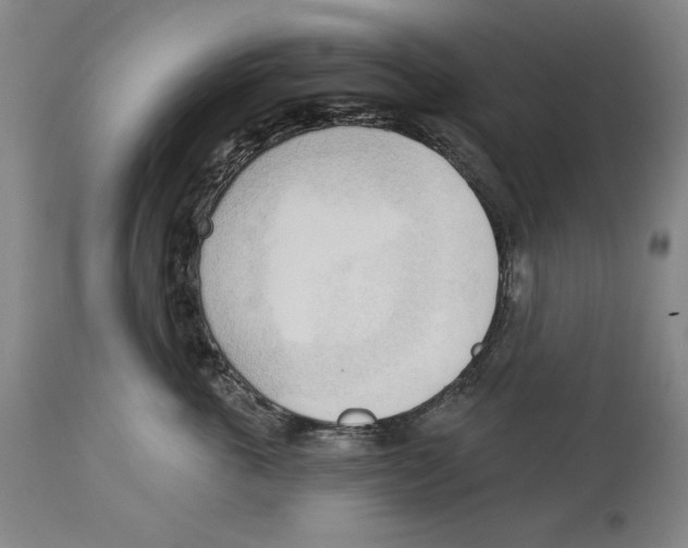 X0000113130763200910021416