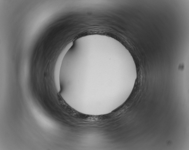 X0000113130764200910021416