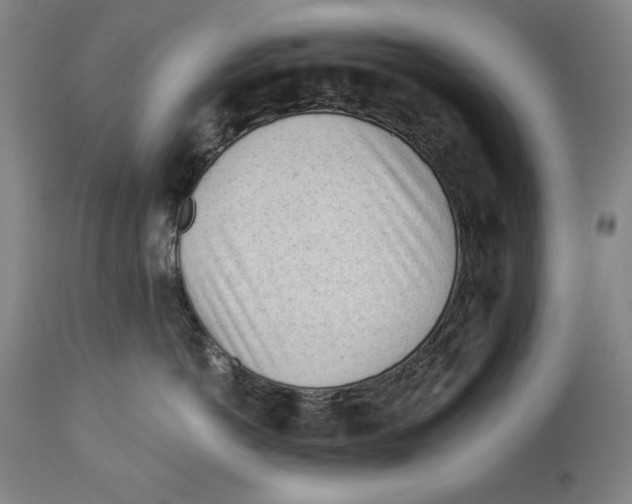 X0000113130766200910021416