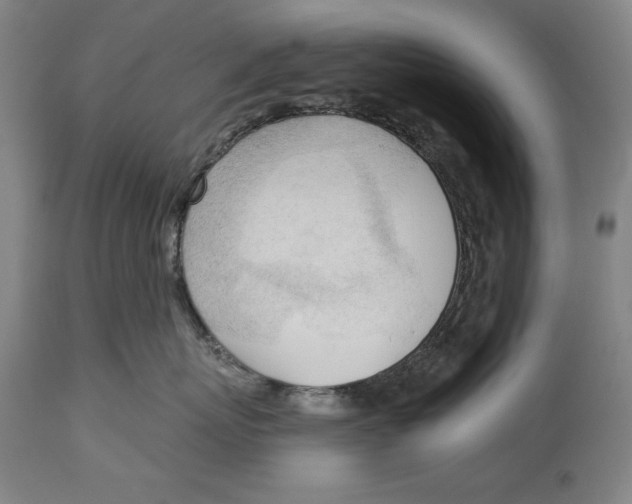 X0000113130767200910021416