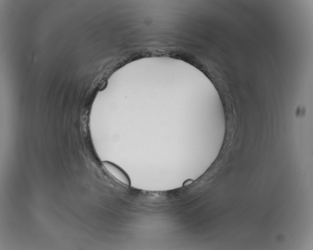 X0000113130768200910021416