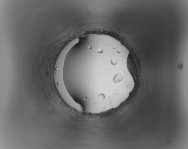 X0000113130769200910021415