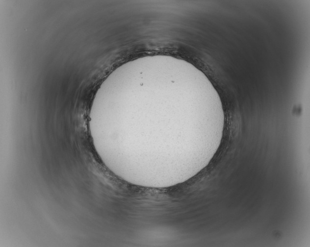 X0000113130770200910021415