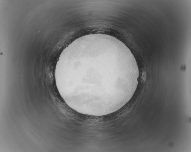 X0000113130771200910021415