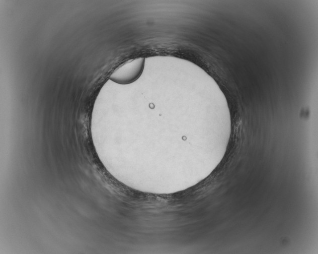 X0000113130772200910021415