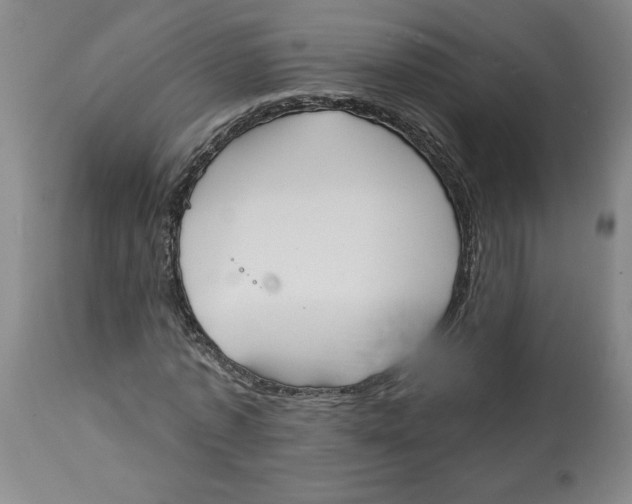 X0000113130773200910021415