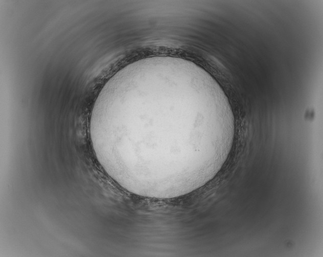 X0000113130774200910021415