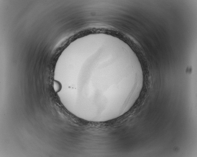 X0000113130775200910021415