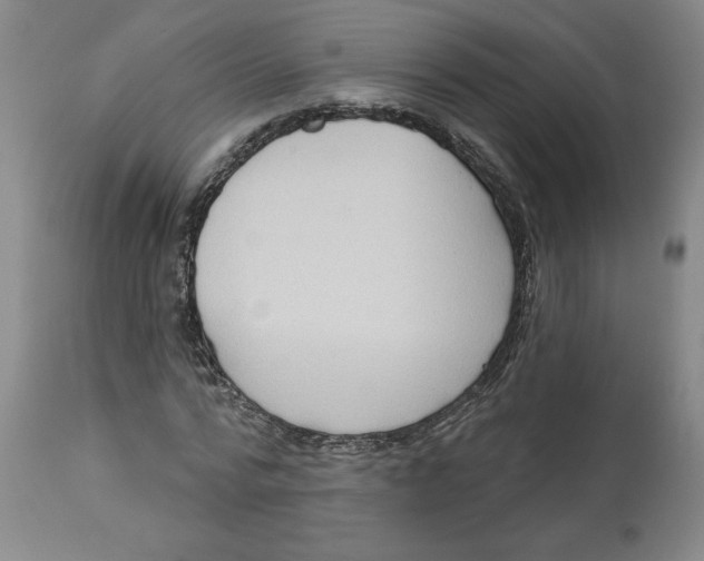 X0000113130776200910021415