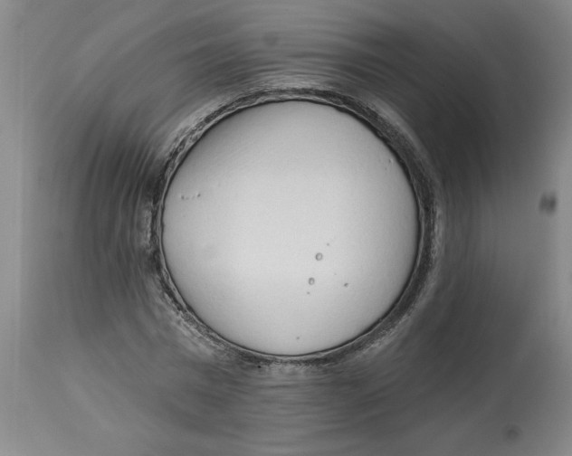 X0000113130777200910021415