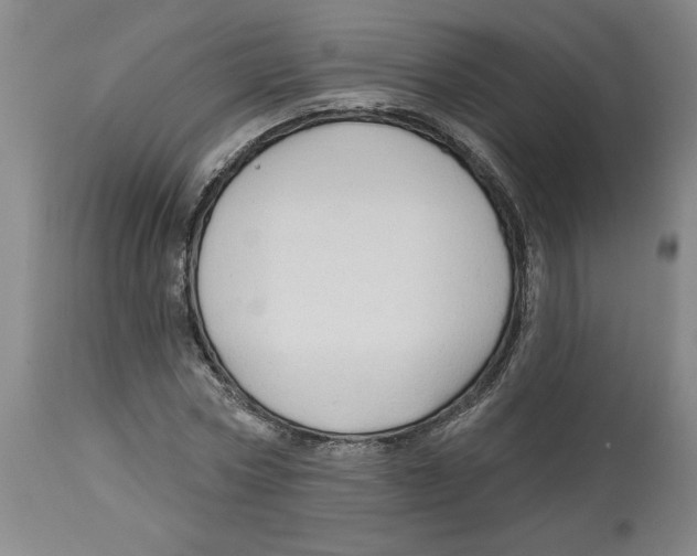 X0000113130778200910021415