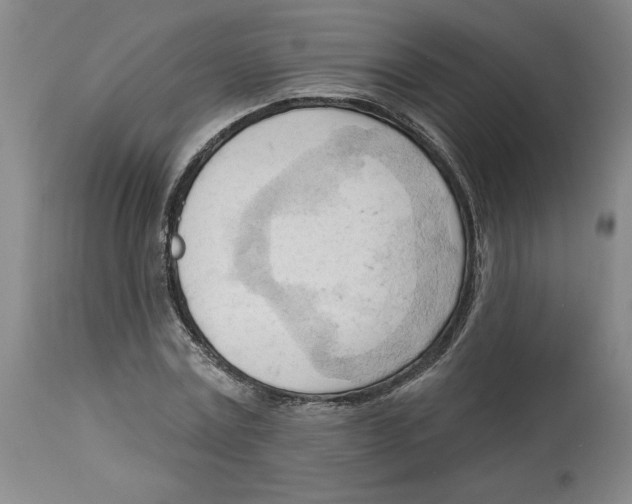 X0000113130779200910021415