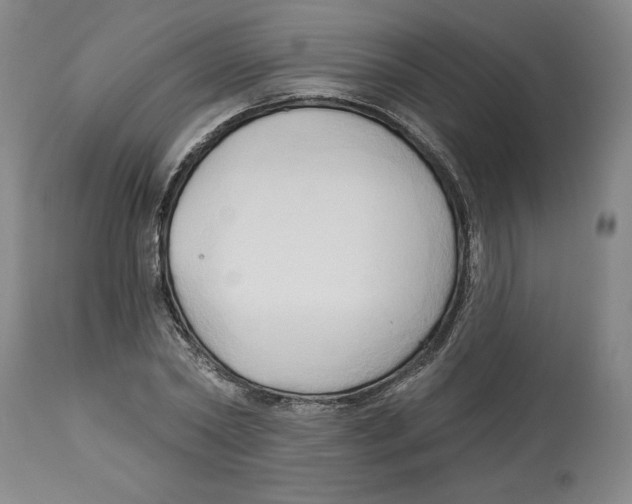 X0000113130782200910021415