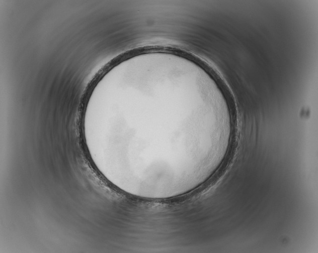 X0000113130783200910021415