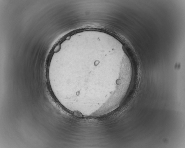 X0000113130784200910021415