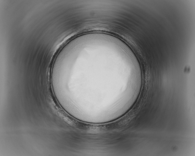 X0000113130790200910021415