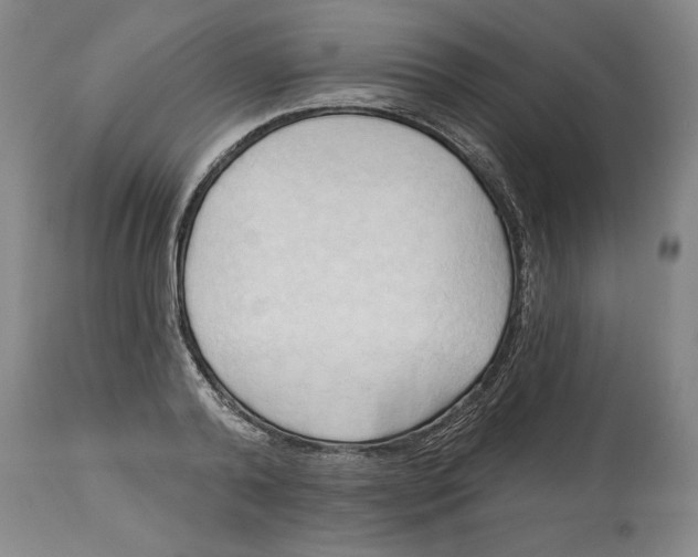 X0000113130792200910021415